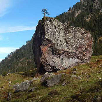 Steingarten Murgtal