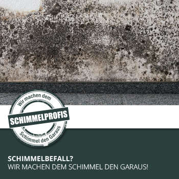 Schimmelprofis.ch